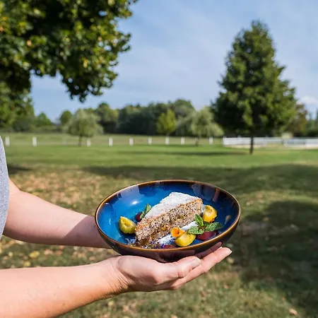 Nocleg ze śniadaniem Matild Country